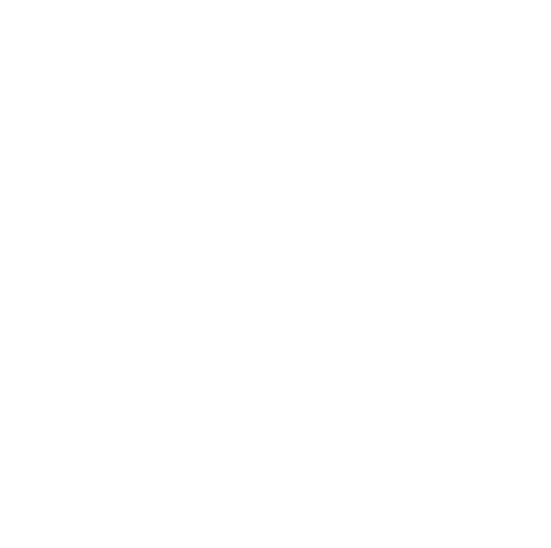 El General animación